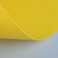 Бумага цветная Fabriano Elle Erre 220г/м2 50x70 20л/упак Желтый