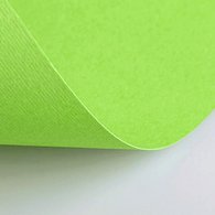 Бумага цветная Fabriano Elle Erre 220г/м2 50x70 20л/упак Зеленый светлый