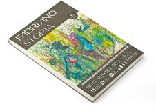Бумага для рисования Fabriano Storia изготовлена с добавлением 25% хлопковых волокон.
Её поверхность с фактурой «felt-marked» имеет мягкую и деликатную текстуру, идеально подходящую для тонких штрихов и точных линий. Бумага обладает архивным качеством (сертифицирована для долговременного хранения)…