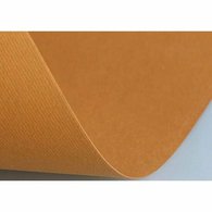 Бумага цветная Fabriano Elle Erre 220г/м2 50x70 20л/упак Коричневый Гавана