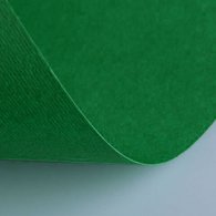 Бумага цветная Fabriano Elle Erre 220г/м2 50x70 20л/упак Зеленый насыщенный