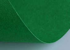 Бумага цветная Fabriano Elle Erre 220г/м2 50x70 20л/упак Зеленый насыщенный