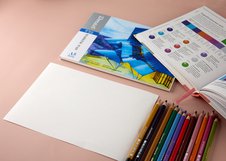 Набор цветных угольных карандашей Dmast 12 цветов Портрет в картонной упаковке