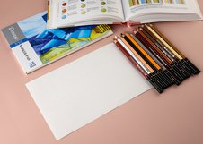 Набор цветных угольных карандашей Dmast 12 цветов Пейзаж в картонной упаковке