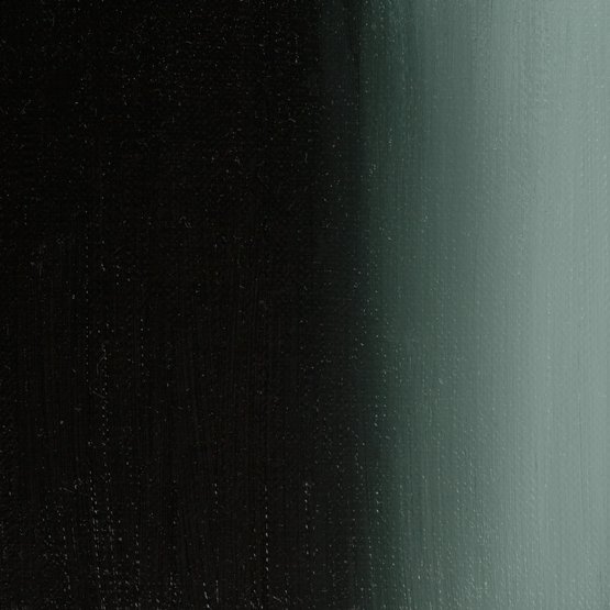 Перилен чёрный 
 Пигментный состав: P.Bk.32 
 Укрывистость: ◨  - полупрозрачная краска 
 Светостойкость: *** - светостойкая краска  
 Оттенок масляных красок выполнен на современном органическом пигменте. Теплый черно-зеленый тон в корпусном нанесении, раскрывается натуральным зеленым цветом в лесс…