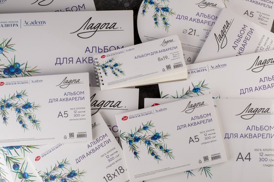 Бумага "Ладога" из 100% хлопка натурального белого цвета прекрасного качества идеально подходит для акварели, а также акварельных карандашей и маркеров, гуаши и акрила, туши, смешанных техник. Акварельная бумага 300 г/м2 позволяет работать в технике по-сухому и по-мокрому, делать тонкую детализацию…