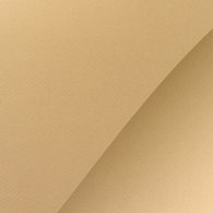 Высококачественная бумага для пастели которая станет идеальным выбором для художников и любителей искусства. Форматы листов 50x65 см, А3 и А4 обеспечивают удобство в работе, а плотность 160 г/м² и содержание 40% хлопка придают бумаге особую прочность и текстуру. Эта бумага не содержит кислот и прои…